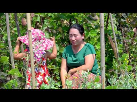 Zuag Lauj - kua muag poj ntsuam