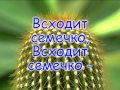 Всходит семечко 