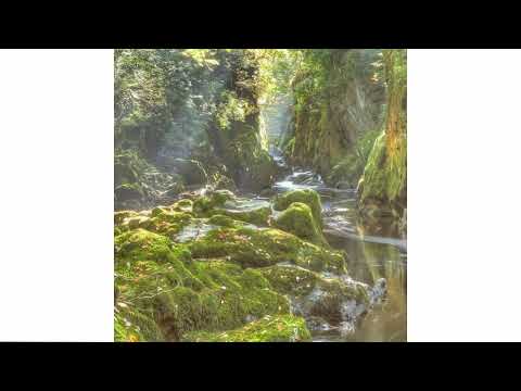 *FREE* REGALIA + I9BONSAI TYPE BEAT (prod. @rodmadeit_)