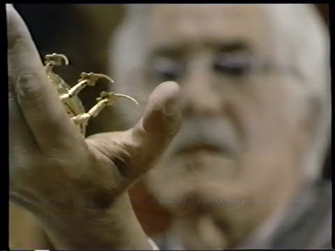 Original Trailer (VHS Capture)