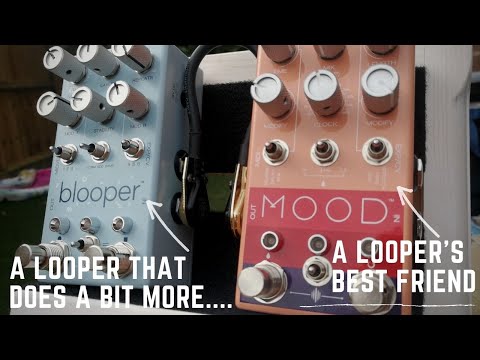 Chase Bliss Audio Blooper and Mood - A Looper's Dream?