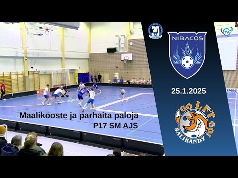 P17 SM AJS Nibacos - LFT 25.1.2025 |Maalikooste