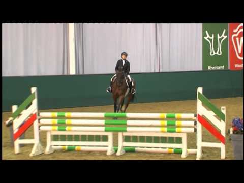 32 Capitano v. Captain Fire/Collin L (44.NRW Elite-Auktion) www.westfalenpferde.de