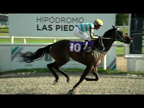 220311 c07 - SELENA JONES - HIPODROMO LAS PIEDRAS