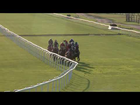 2019.08.04. 07. futam - MAGYAR KANCADÍJ (HUN Gd-2)