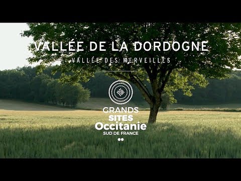 Vignette vidéo