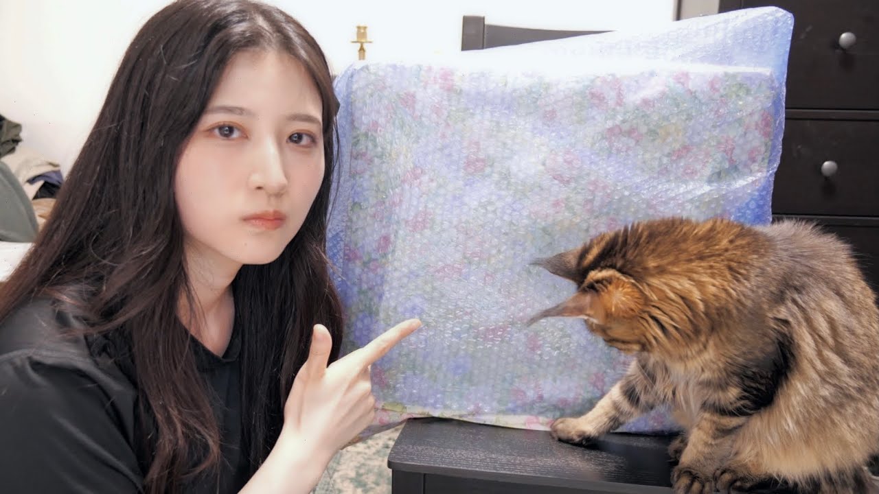 とんでもないものが家に届いたので開封します…