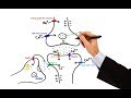 Pharmacology - ANTIEPILEPTIC DRUGS (MADE EASY)