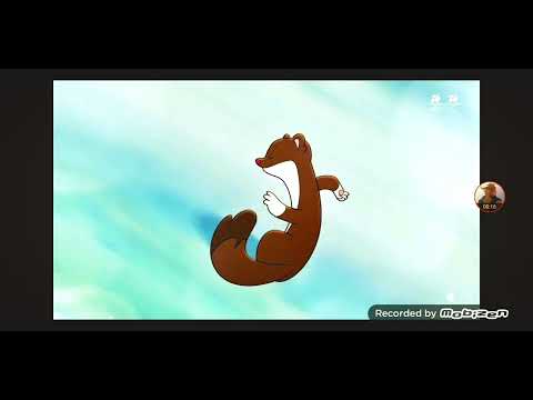 Tina & Milo || The Official Mascot in Winter Olympics Milano Cortina 2026