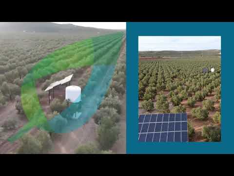 I𝐧𝐬𝐭𝐚𝐥𝐚𝐜𝐢𝐨́𝐧 𝐝𝐞 𝐩𝐥𝐚𝐜𝐚𝐬 𝐬𝐨𝐥𝐚𝐫𝐞𝐬 𝐩𝐚𝐫𝐚 𝐛𝐨𝐦𝐛𝐞𝐨 - Proyecto de Riego, TecniAgro XXI