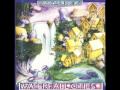 Ozric Tentacles - Sultana Detrii