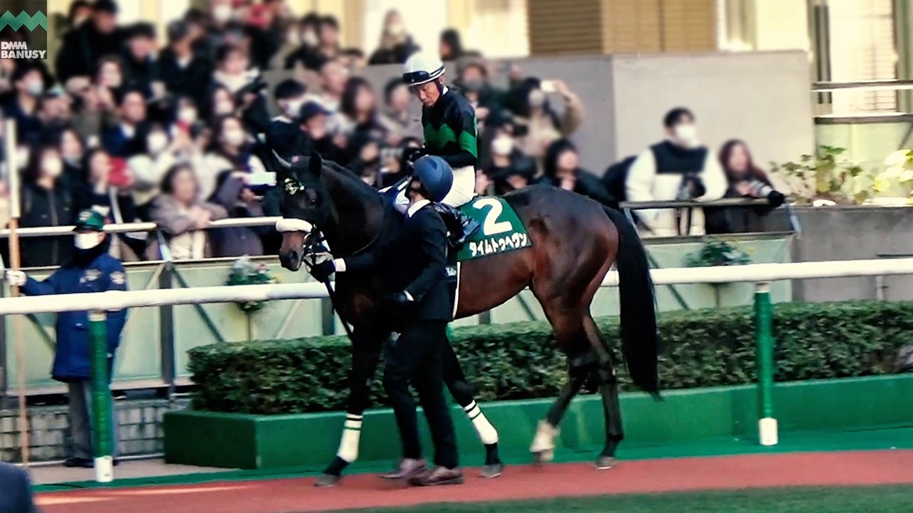 【タイムトゥヘヴン】ダービー卿チャレンジトロフィーまでの道のり