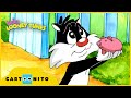 Baby Looney Tunes Cool Sylvester Cartoonito UK