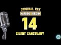🎙️14 - SILENT SANCTUARY/ (KARAOKE Version 1) 💽🎤 w/Background