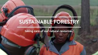 Forest Sector Education and Training for Green Employment