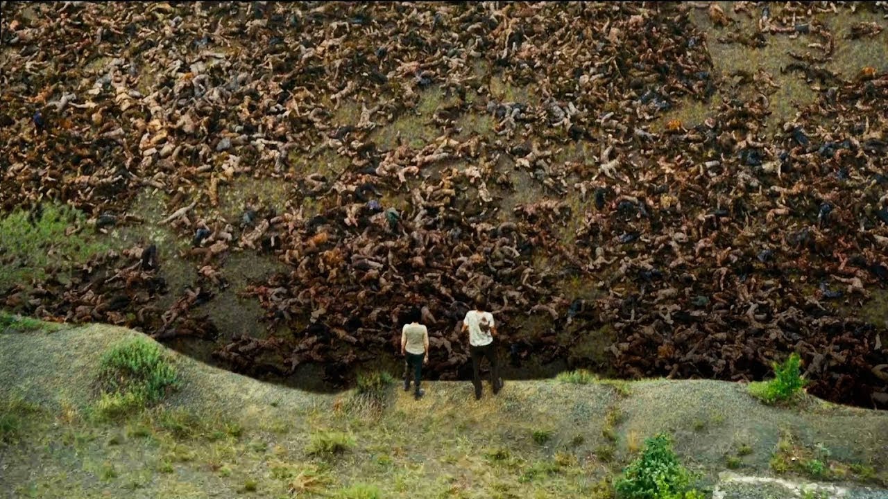 Humanity is Infected With a Virus, The World Has Turned Into a Huge Grave