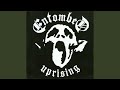 The Only Ones (US Bonus Track Remastered) - Entombed - Topic The Only Ones (US Bonus Track Remastered)