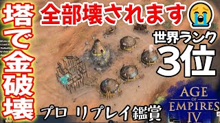 イングランドでマリに塔ラッシュすれば、金が取れなくなります【マリ vs イングランド, 乾アラビア, Age of Empires 4, AOE4 ゲーム実況】