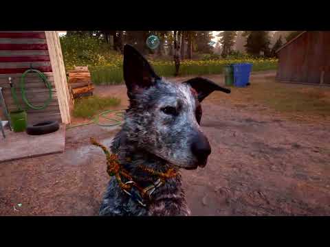 Far Cry® 5 Boomer the Good Boy