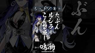 20秒で分かるルシラー