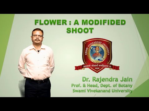 Flower : A Modified Shoot | Dr. Rajendra Jain | Svn University