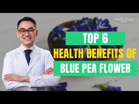 Top 6 Health Benefits Of Blue Pea Flower!