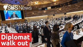 Diplomats walk out of Sergei Lavrov&#39;s UN speech | SBS News