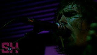 The Mystery Lights - Too Many Girls (LIVE at Acerogami)