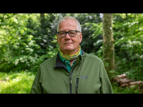 Gemeinschaftlich für Nachhaltigkeit im Wald | Mein Wald ist für Dich da