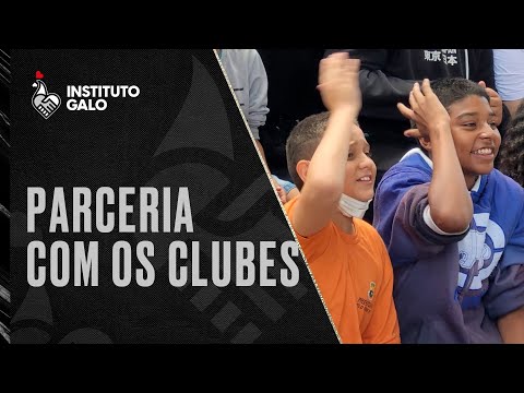 CRIANÇADA VAI À LOUCURA COM GALO DOIDO