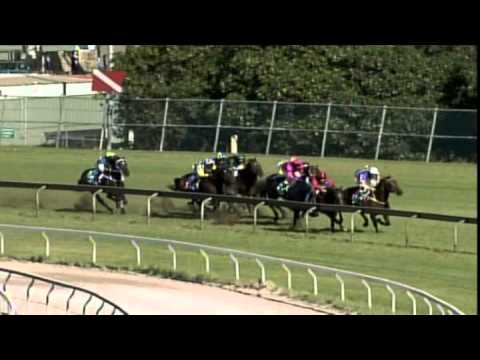 2006 - Cathay Pacific George Ryder Stakes - Racing To Win