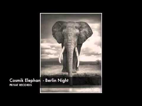 Cosmik Elephant -  Berling Night