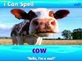 I Can Spell With Phonics American Speech