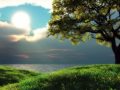 Greenwaves - Secret Garden