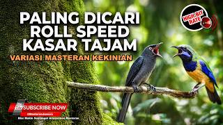 Download lagu 🔴 Live Masteran Kasar Roll Speed Paling Dicari Cucak Cungkok Gacor vs Srigunting Abu Abu Isian Greja mp3