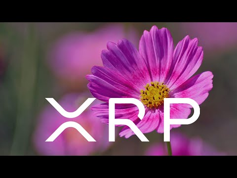 XRP RIPPLE HOLY SH!T THIS WILL BLOW YOUR MIND !!!!!!