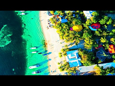 MagiCXbeats - Paradise Dimension (Chill Version)