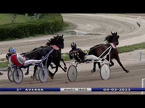 Aversa trotto 4 Marzo 2023 - 2° Corsa