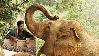 preview picture of video 'Остров Шри Ланка - слоны'
