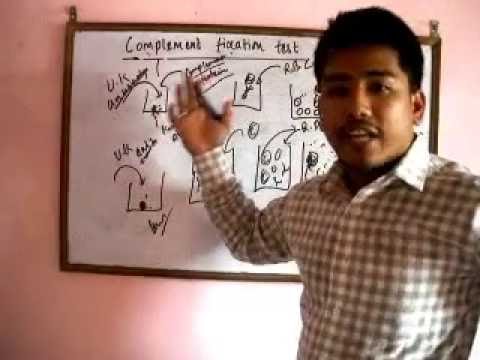 Complement fixation Test