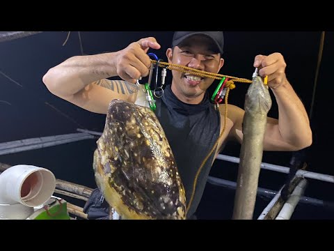 EP829-P2 - Night Spearfishing / Jackpot si Harabae