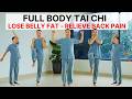 30 Min Tai Chi Workout Burn Fat Relieve Back Pain Move More Freely After 50