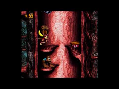 Donkey Kong Country 3 - Treetop Tumble [Restored] Extended