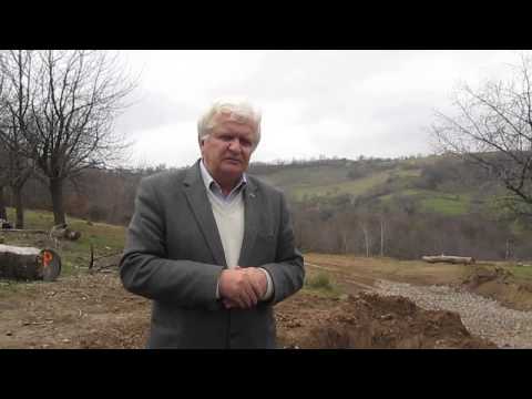 Ionel Paşca, primar Chisindia