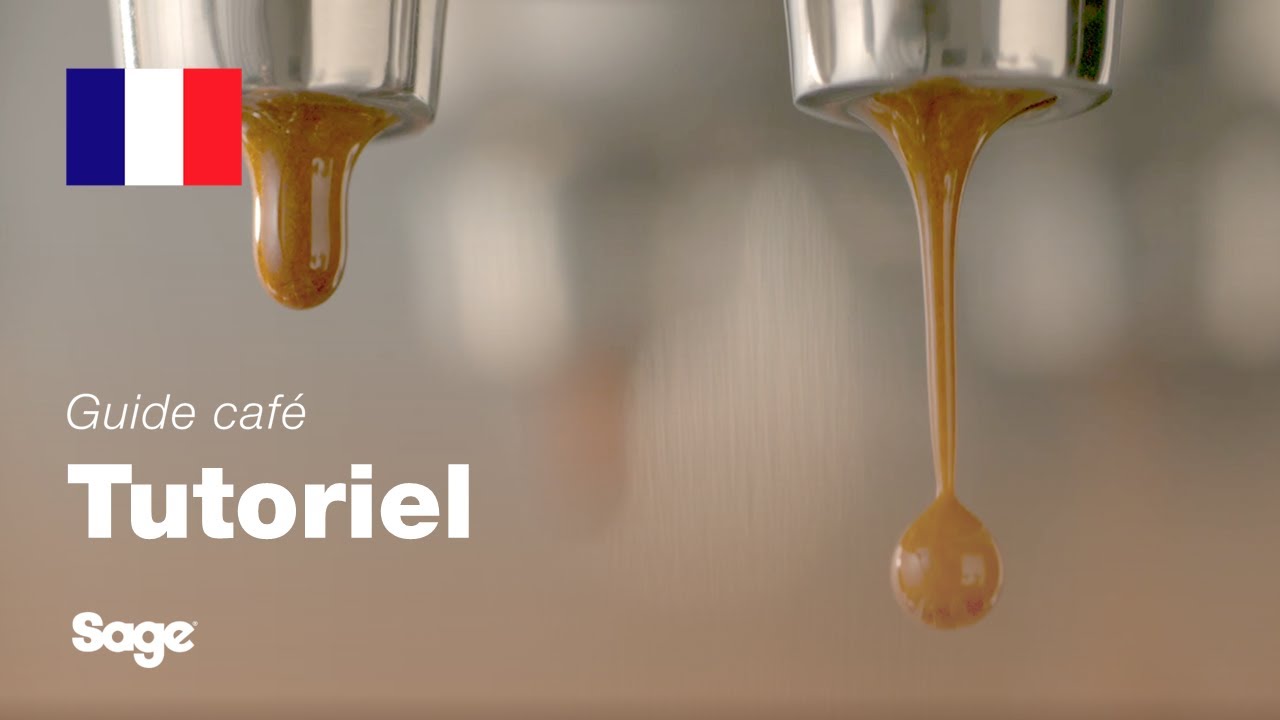 Guide didactique du café Breville - Équilibrer votre extraction