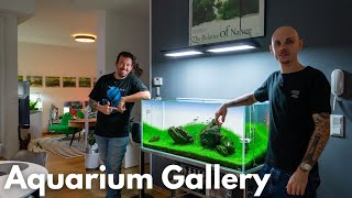 Traum ADA Aquarium Gallery bei Rene zu Hause!