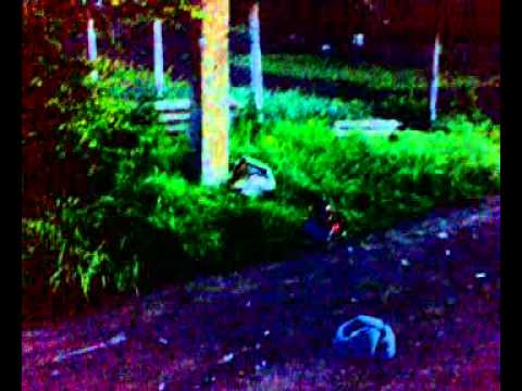 еб\ашим монитор.mp4