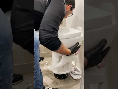 Quick Toilet FIX! #shorts