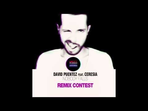 David Puentez feat. Ceresia - Nobody Falls (Peter Brennan Remix)