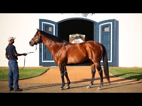 Trippi by End Sweep out of Jealous Appeal